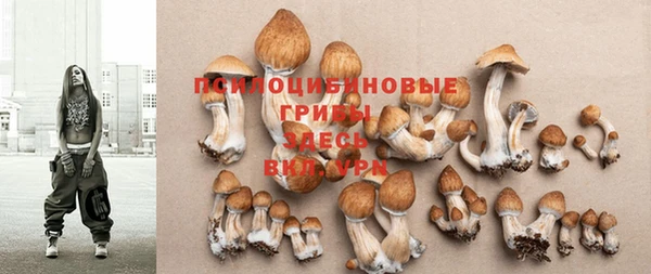таблы Медвежьегорск